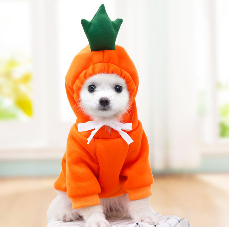 Pet Hoodies for French Chihuahua